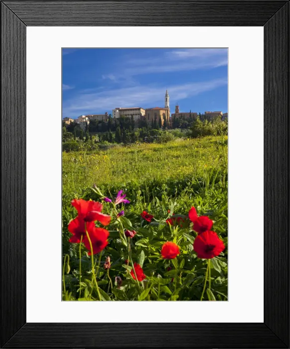 Framed Print : DDE-90032246 Framed Print : DDE-90032246