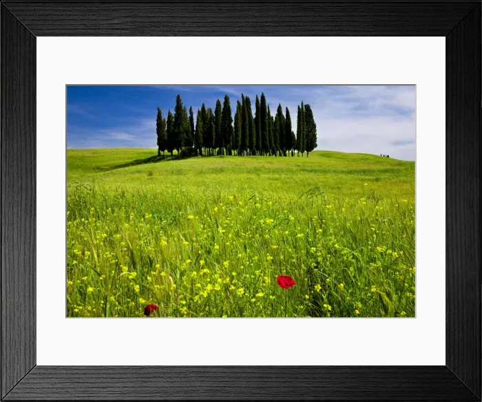 Framed Print : DDE-90032247 Framed Print : DDE-90032247