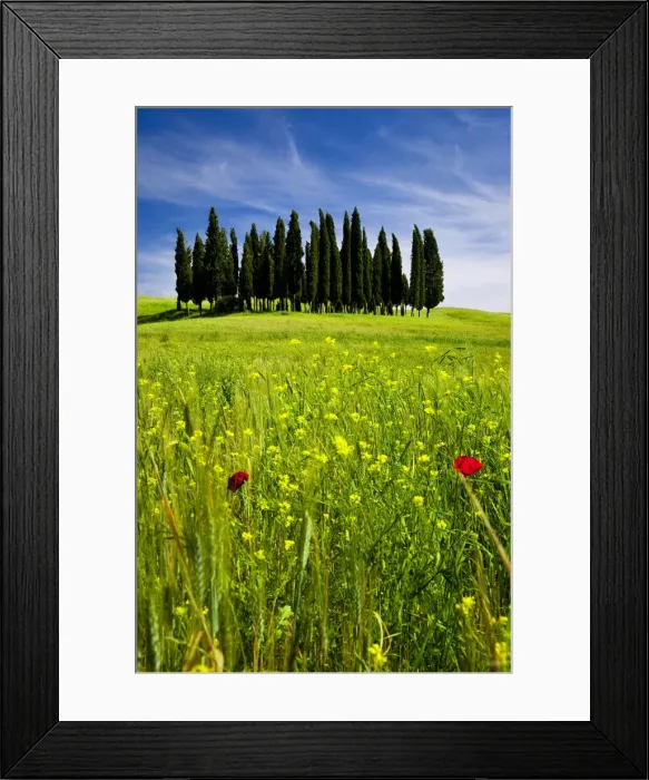 Framed Print : DDE-90032248 Framed Print : DDE-90032248