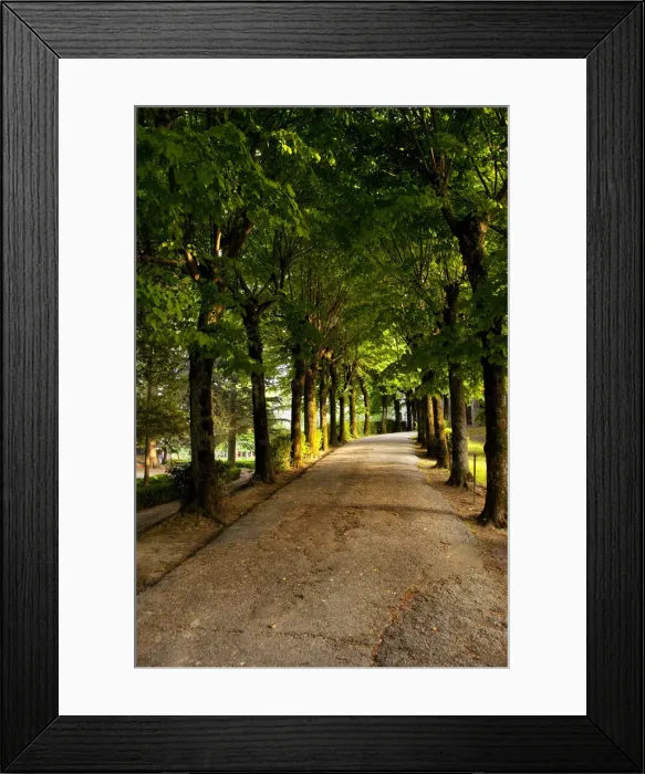 Framed Print : DDE-90032250 Framed Print : DDE-90032250