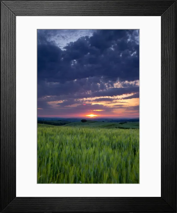 Framed Print : DDE-90032251 Framed Print : DDE-90032251