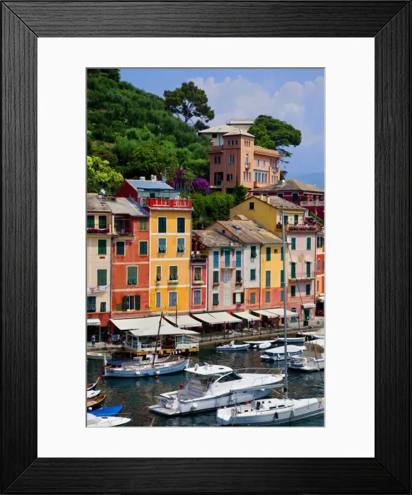 Framed Print : DDE-90032254