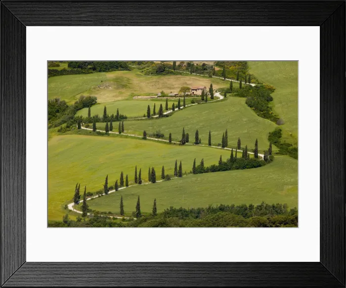 Framed Print : DDE-90032252