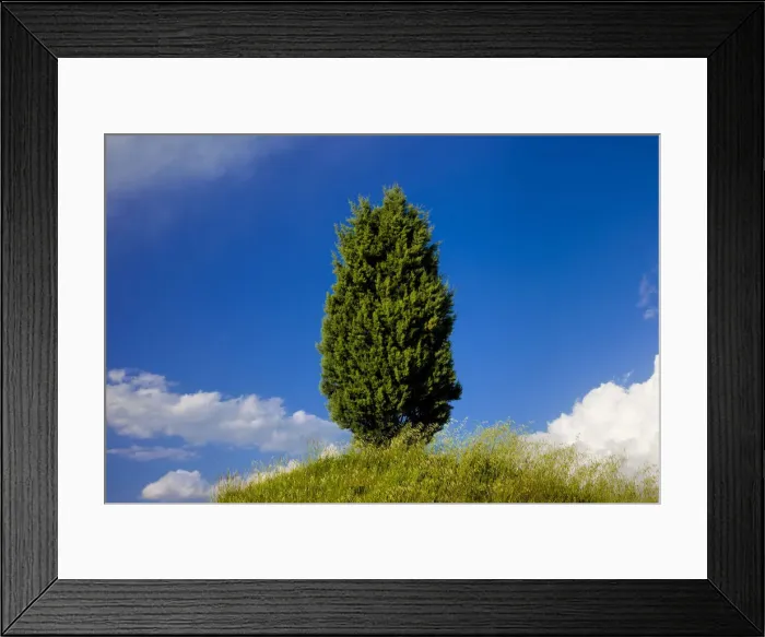Framed Print : DDE-90032260 Framed Print : DDE-90032260