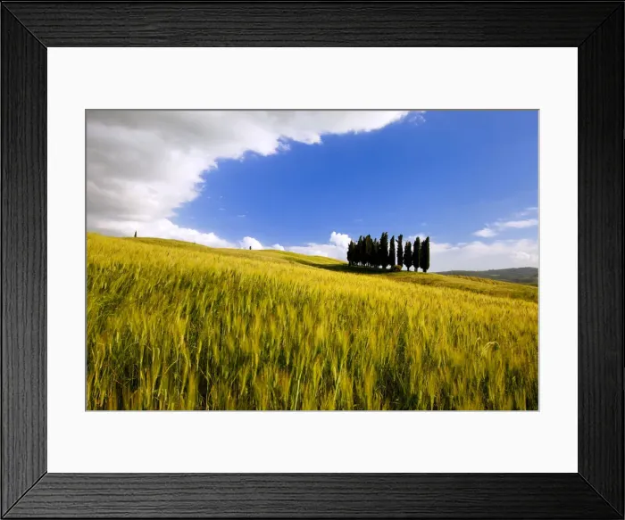 Framed Print : DDE-90032262