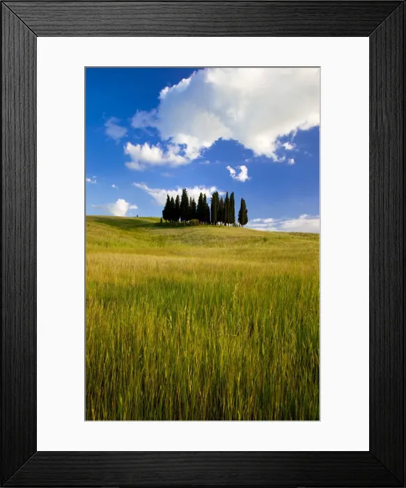 Framed Print : DDE-90032263