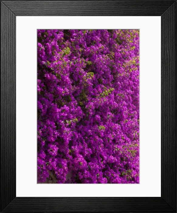 Framed Print : DDE-90032279 Framed Print : DDE-90032279
