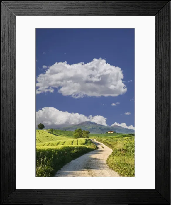 Framed Print : DDE-90032302 Framed Print : DDE-90032302