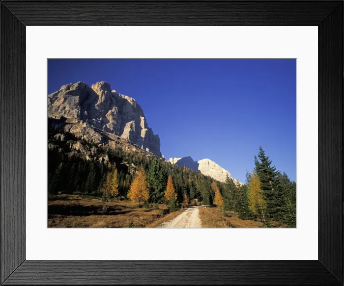 Framed Print : DDE-90032310