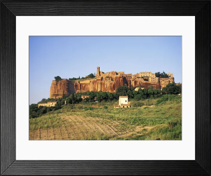 Framed Print : DDE-90032313