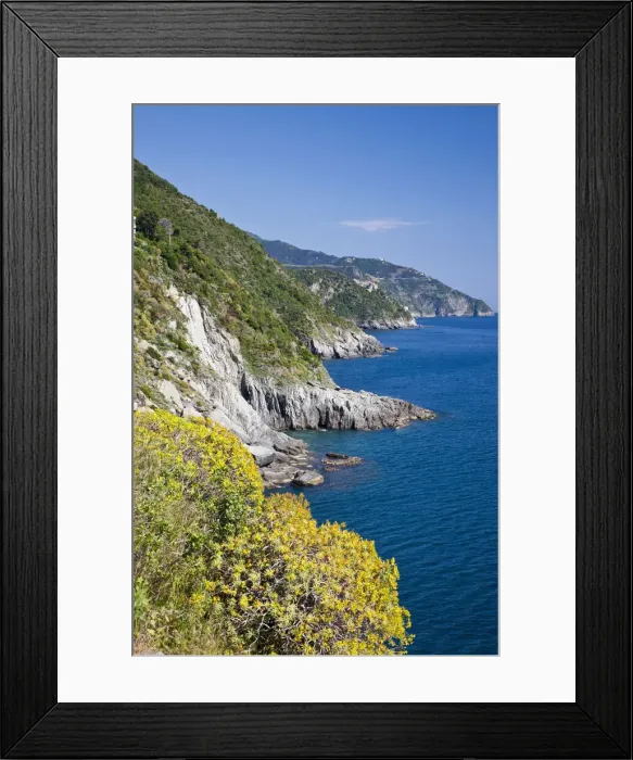 Framed Print : DDE-90032317 Framed Print : DDE-90032317