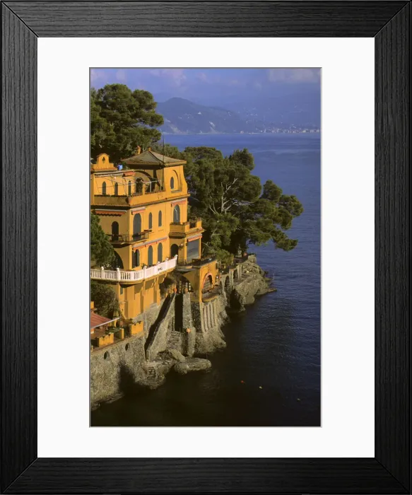 Framed Print : DDE-90032319 Framed Print : DDE-90032319