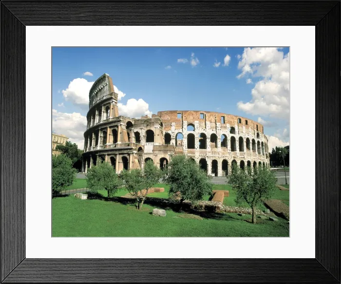 Framed Print : DDE-90032322 Framed Print : DDE-90032322