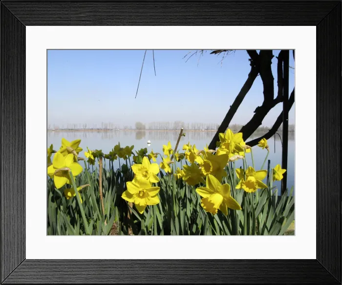 Framed Print : DDE-90032329