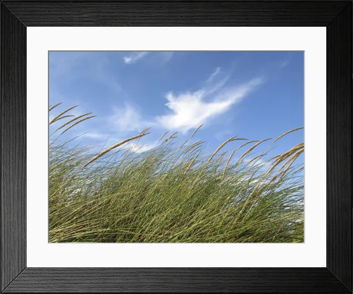 Framed Print : DDE-90032327 Framed Print : DDE-90032327