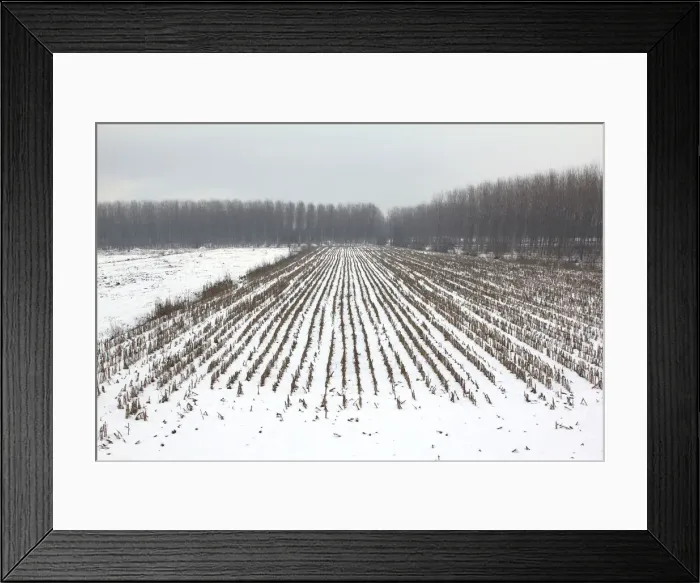 Framed Print : DDE-90032335 Framed Print : DDE-90032335