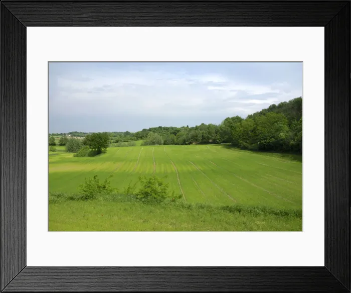 Framed Print : DDE-90032337 Framed Print : DDE-90032337