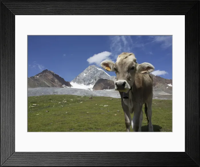 Framed Print : DDE-90032339 Framed Print : DDE-90032339