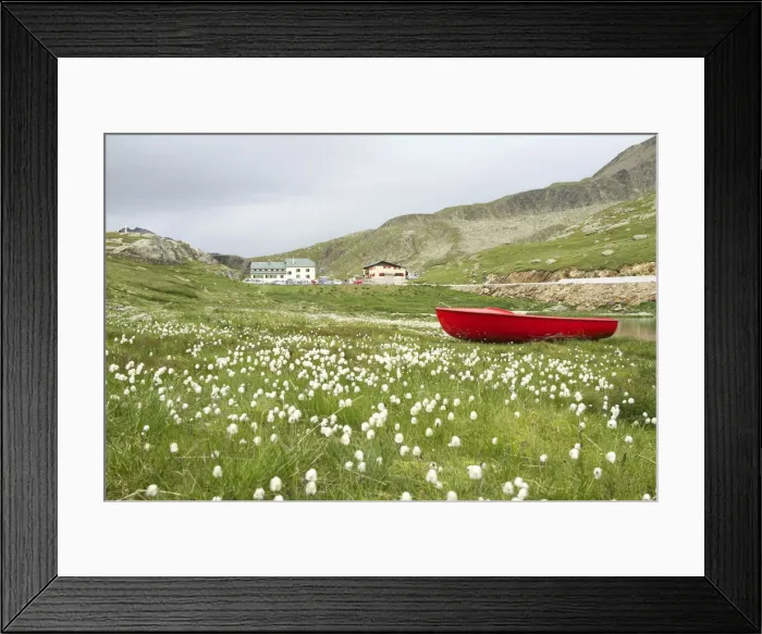 Framed Print : DDE-90032340