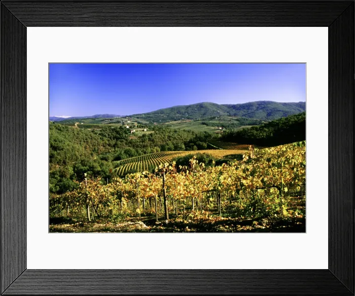 Framed Print : DDE-90032343 Framed Print : DDE-90032343