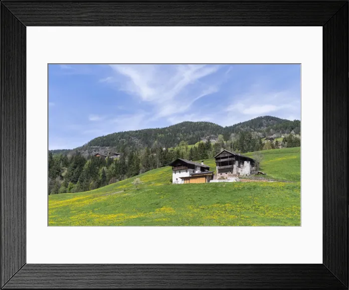 Framed Print : DDE-90032344 Framed Print : DDE-90032344