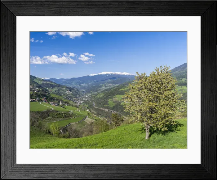 Framed Print : DDE-90032348 Framed Print : DDE-90032348