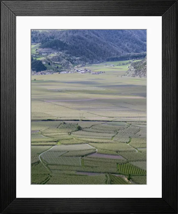 Framed Print : DDE-90032362 Framed Print : DDE-90032362