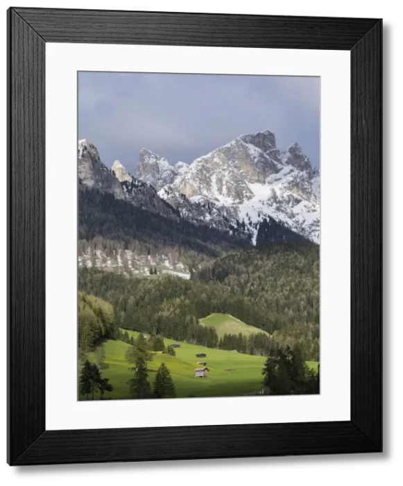 Framed Print : DDE-90032366