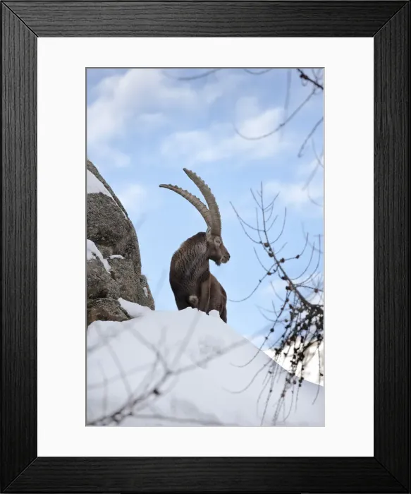 Framed Print : DDE-90032396 Framed Print : DDE-90032396