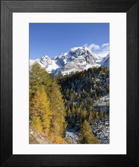 Framed Print : DDE-90032405 Framed Print : DDE-90032405