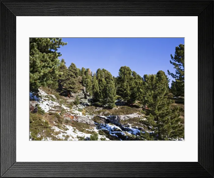 Framed Print : DDE-90032407 Framed Print : DDE-90032407