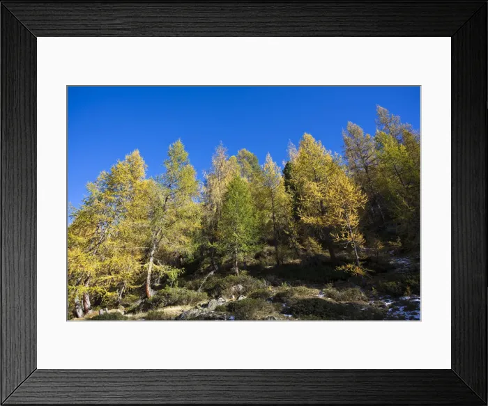 Framed Print : DDE-90032408 Framed Print : DDE-90032408