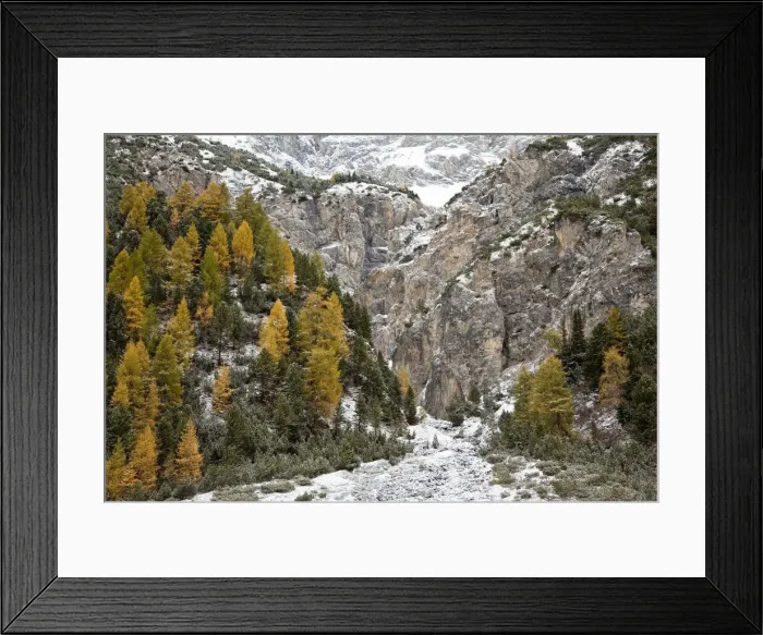 Framed Print : DDE-90032409