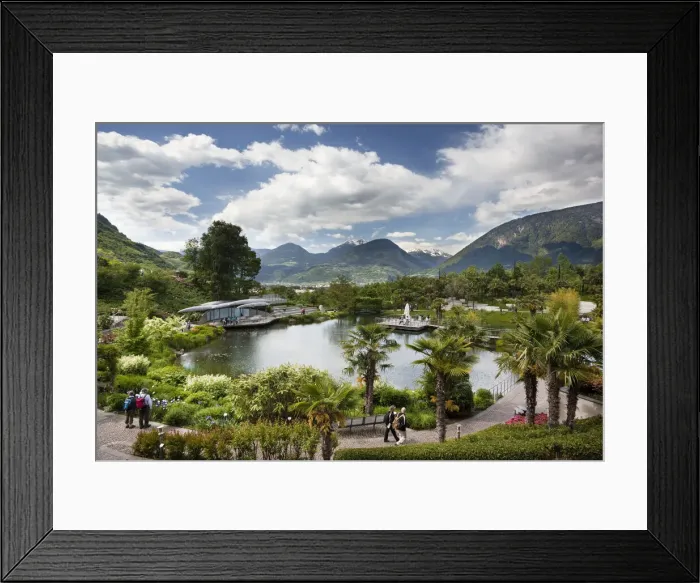 Framed Print : DDE-90032411 Framed Print : DDE-90032411