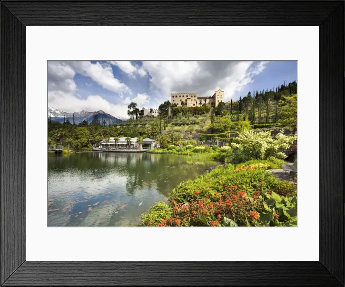 Framed Print : DDE-90032412 Framed Print : DDE-90032412