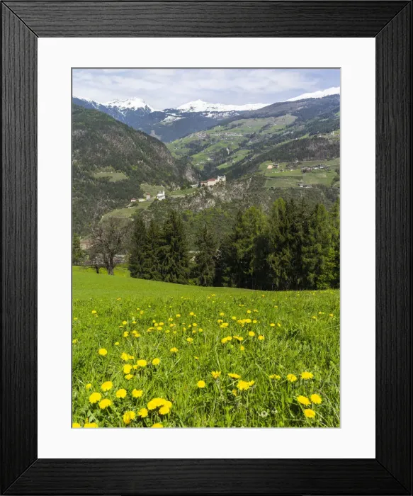 Framed Print : DDE-90032415 Framed Print : DDE-90032415