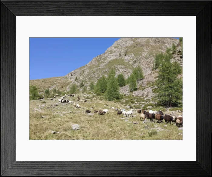 Framed Print : DDE-90032423 Framed Print : DDE-90032423