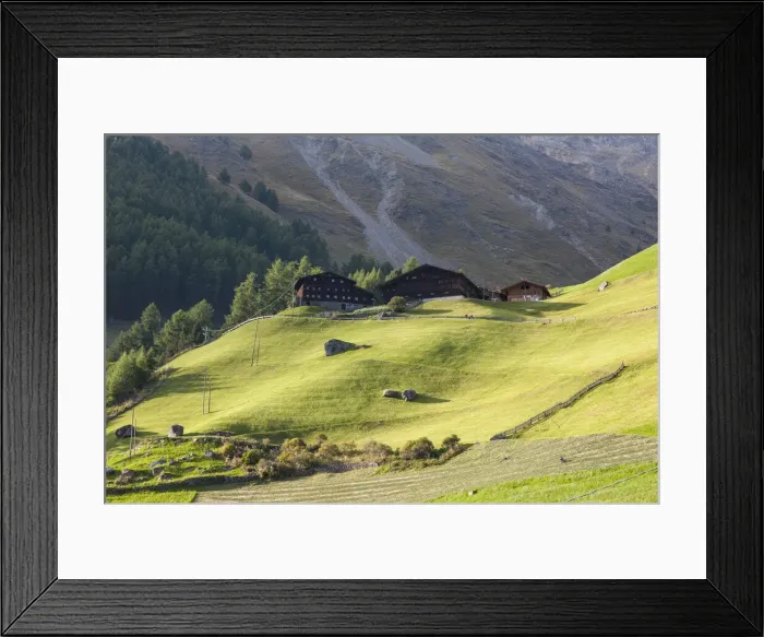 Framed Print : DDE-90032425