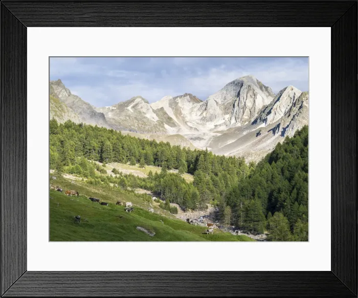 Framed Print : DDE-90032426 Framed Print : DDE-90032426