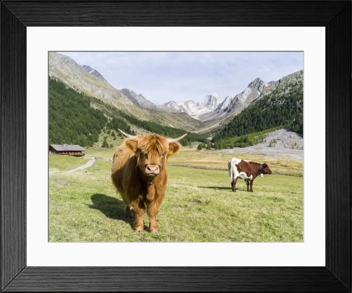 Framed Print : DDE-90032427 Framed Print : DDE-90032427