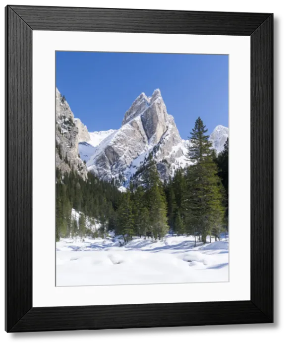 Framed Print : DDE-90032430 Framed Print : DDE-90032430
