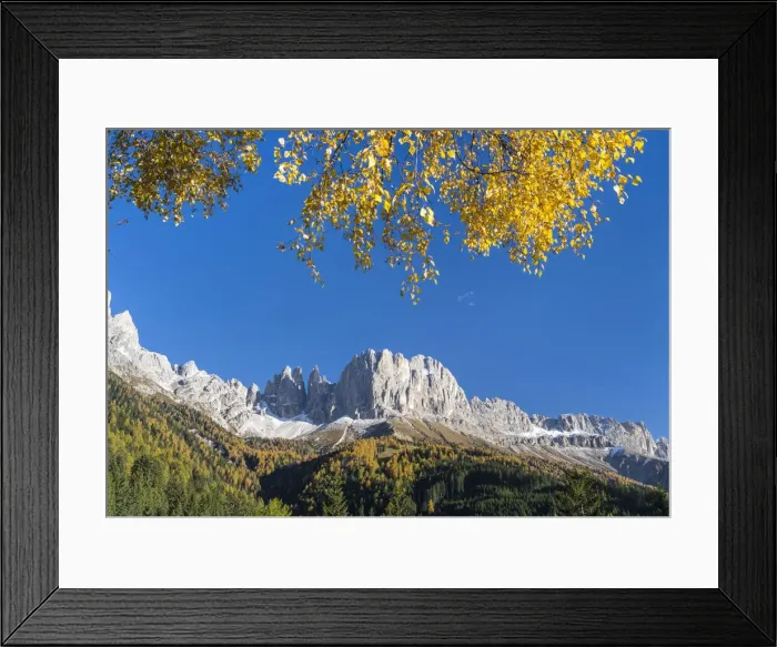 Framed Print : DDE-90032436 Framed Print : DDE-90032436