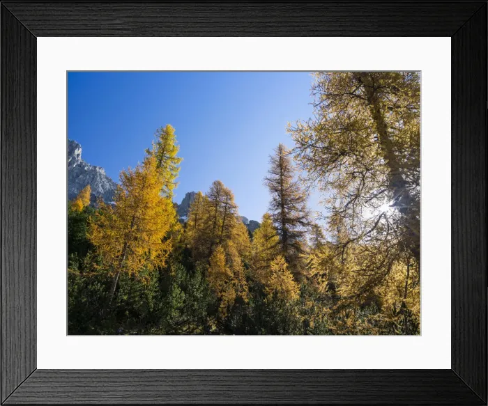 Framed Print : DDE-90032439 Framed Print : DDE-90032439