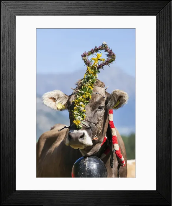 Framed Print : DDE-90032440 Framed Print : DDE-90032440
