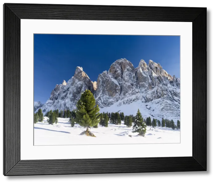 Framed Print : DDE-90032441