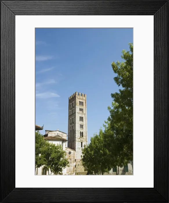 Framed Print : DDE-90032458 Framed Print : DDE-90032458