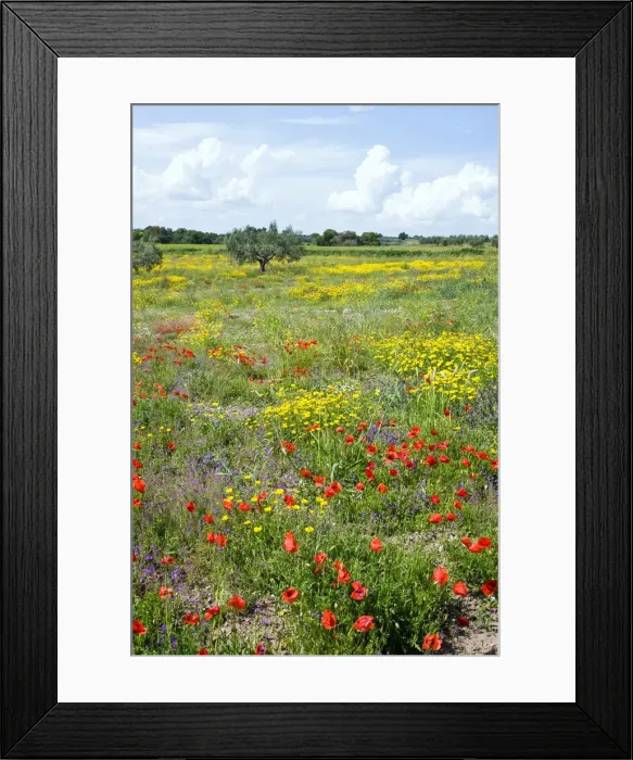 Framed Print : DDE-90032478 Framed Print : DDE-90032478
