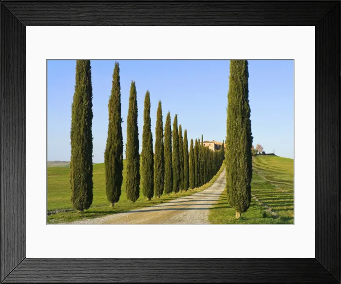 Framed Print : DDE-90032479