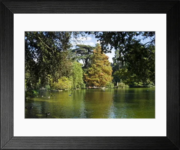 Framed Print : DDE-90032480 Framed Print : DDE-90032480