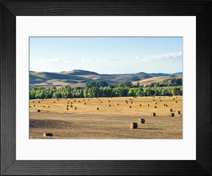 Framed Print : DDE-90032481
